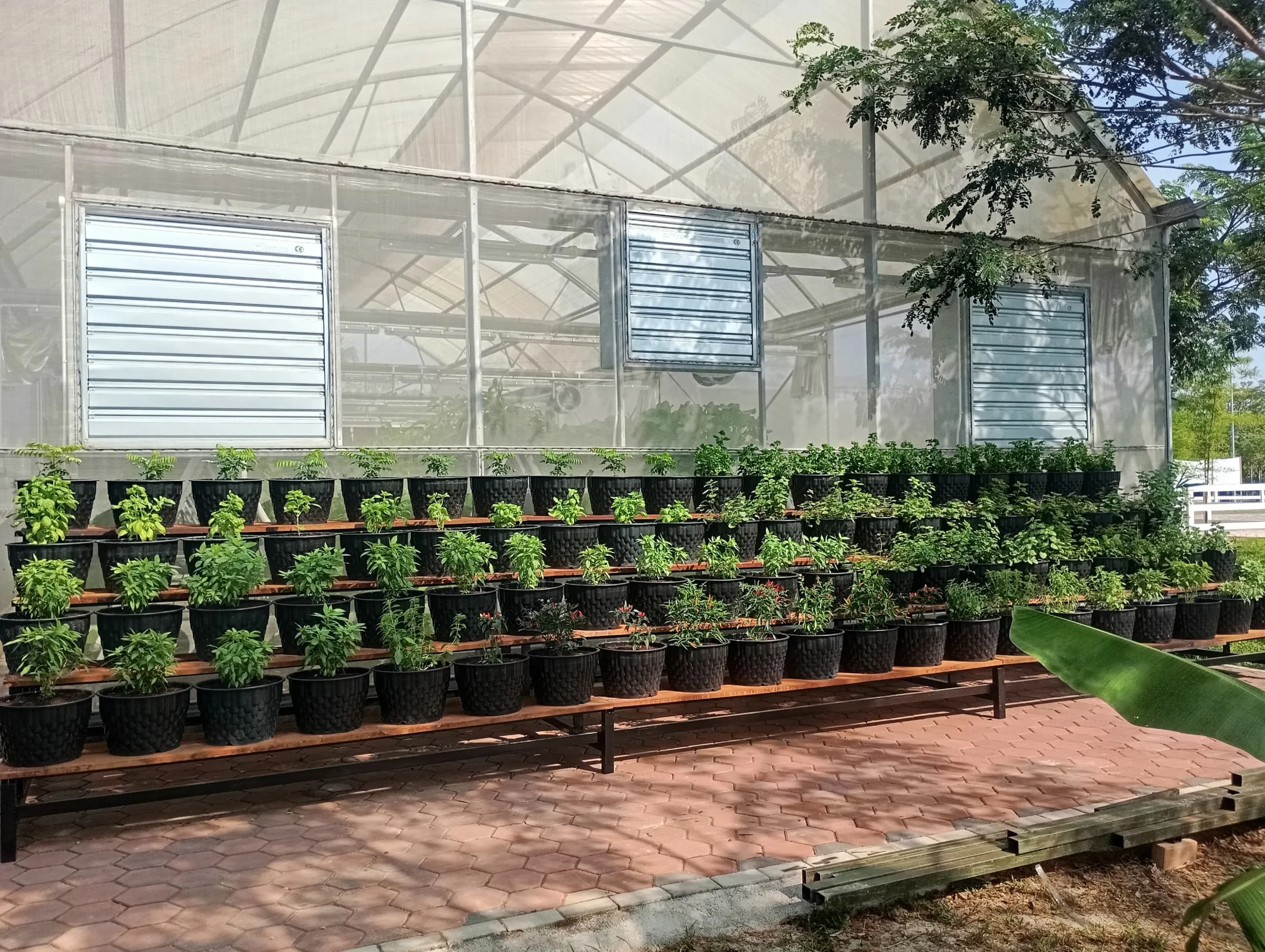 Herbs Garden