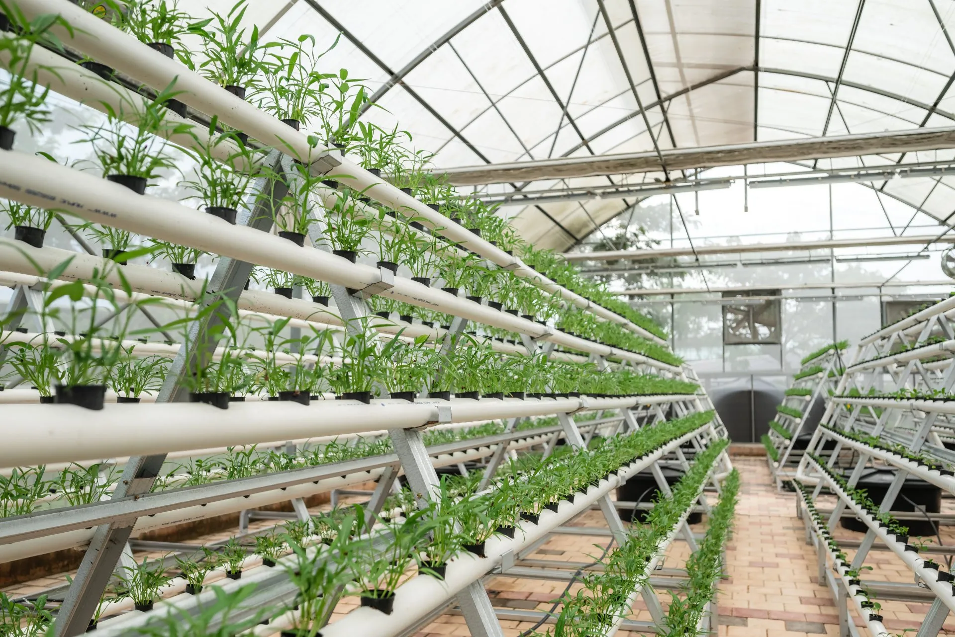 Hydroponics
