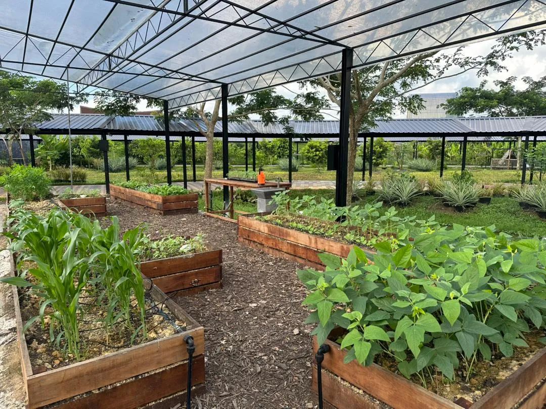Living Ground